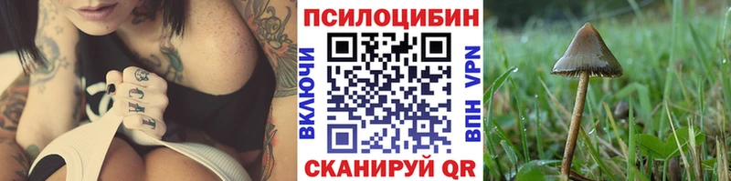 Галлюциногенные грибы Magic Shrooms магазин продажи Ясный